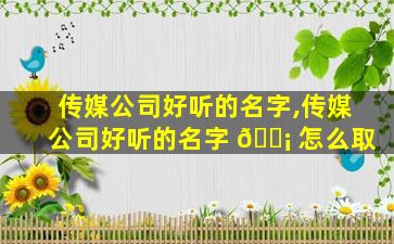 传媒公司好听的名字,传媒公司好听的名字 🐡 怎么取